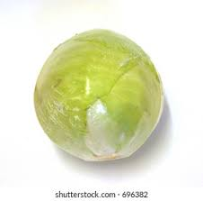 Fresh Cabbage